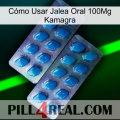 Cómo Usar Jalea Oral 100Mg Kamagra viagra2